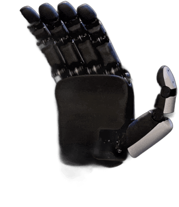 Apex Hand